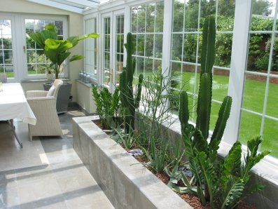 Conservatory planting...