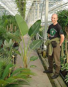 Mark and Strelitzia "alba".