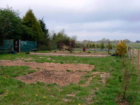Photo of meadow almost cleared of rubbish (May 2008)