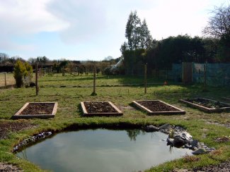 The pond ready for planting (March 2009)...