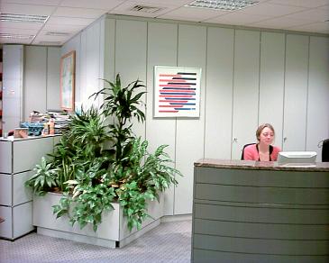 Planting by Decorfolia