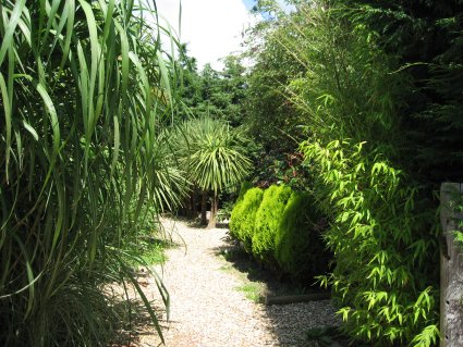 Our oasis...