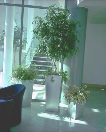 Planting by Decorfolia