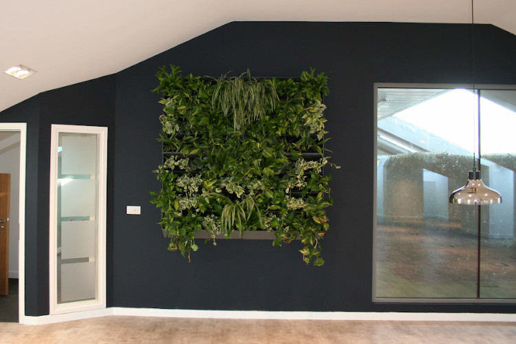 4 PP-8080 Plant Portraits fixed to wall and fully planted